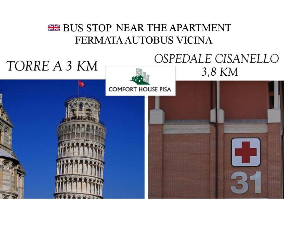Comfort House Πίζα Εξωτερικό φωτογραφία